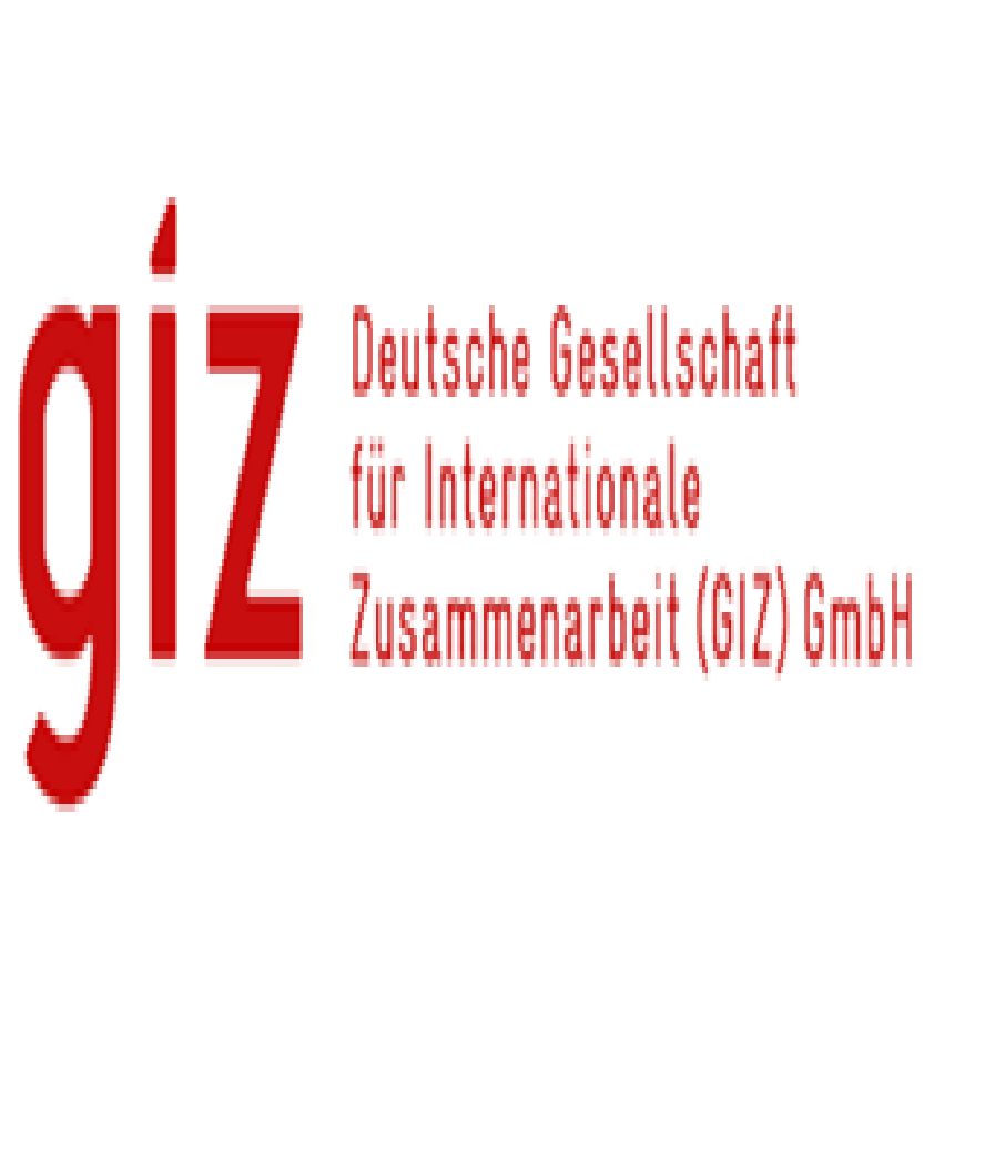 المؤسسة الألمانية للتعاون الدولي