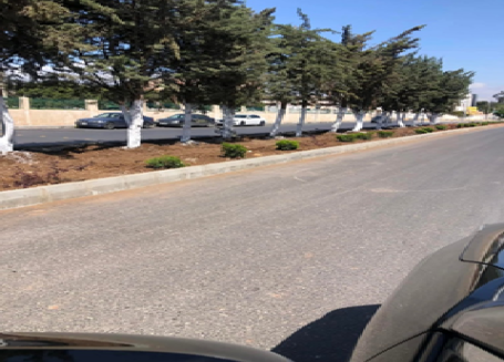 مشروعي فتح وتعبيد وخلطات إسفلتية في مناطق مختلفة ضمن بلديات اربد الكبرى